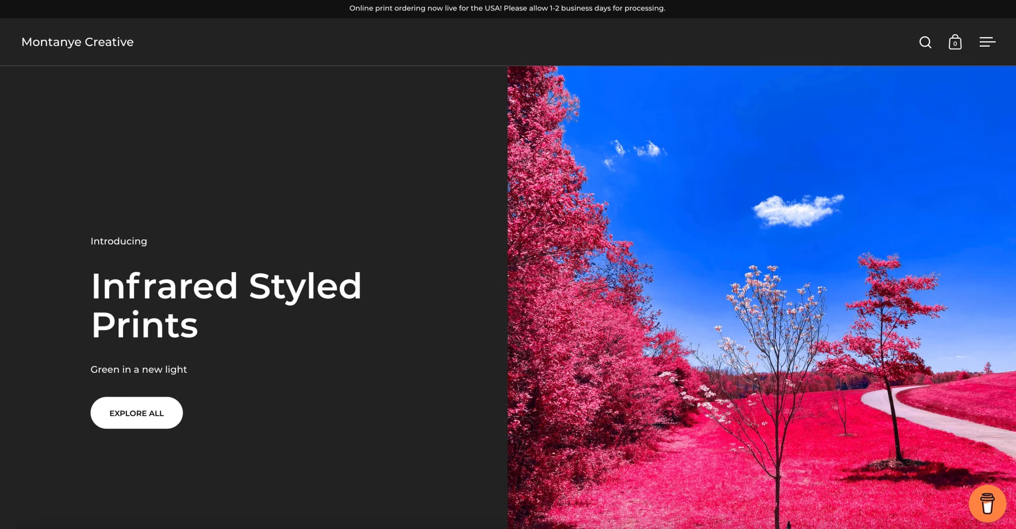 Image of Montanye Creative Photography website home page