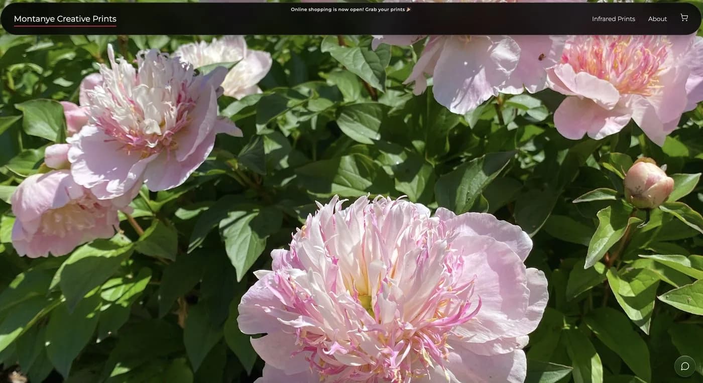 Montanye Creative Prints homepage with a full-bleed infrared peony photograph