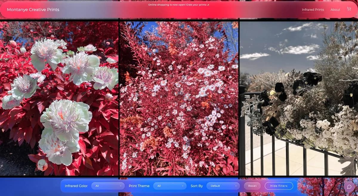 Prints listing page with a full-bleed grid where each image's colors bleed through the interface
