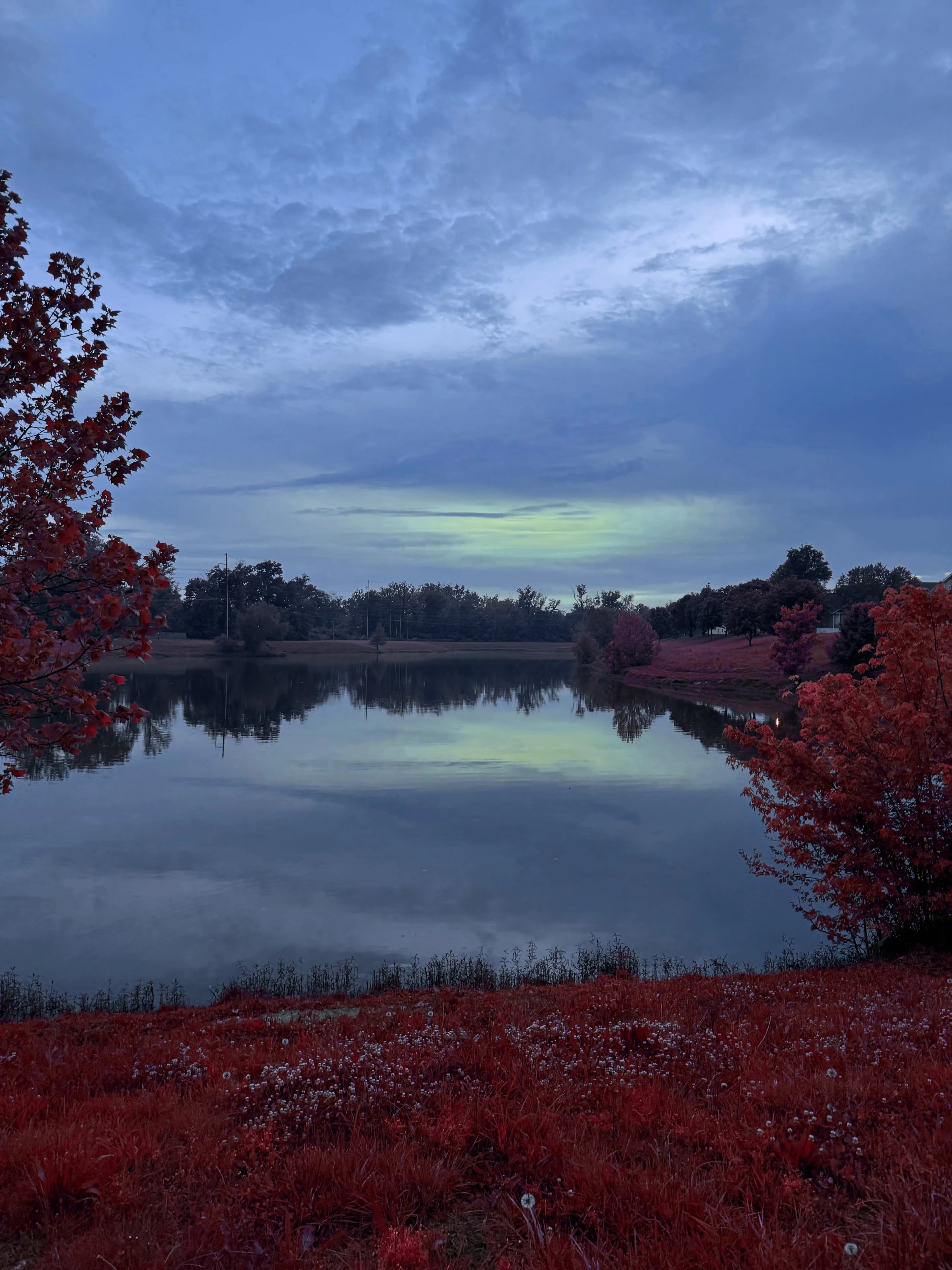 Harmony lake night red