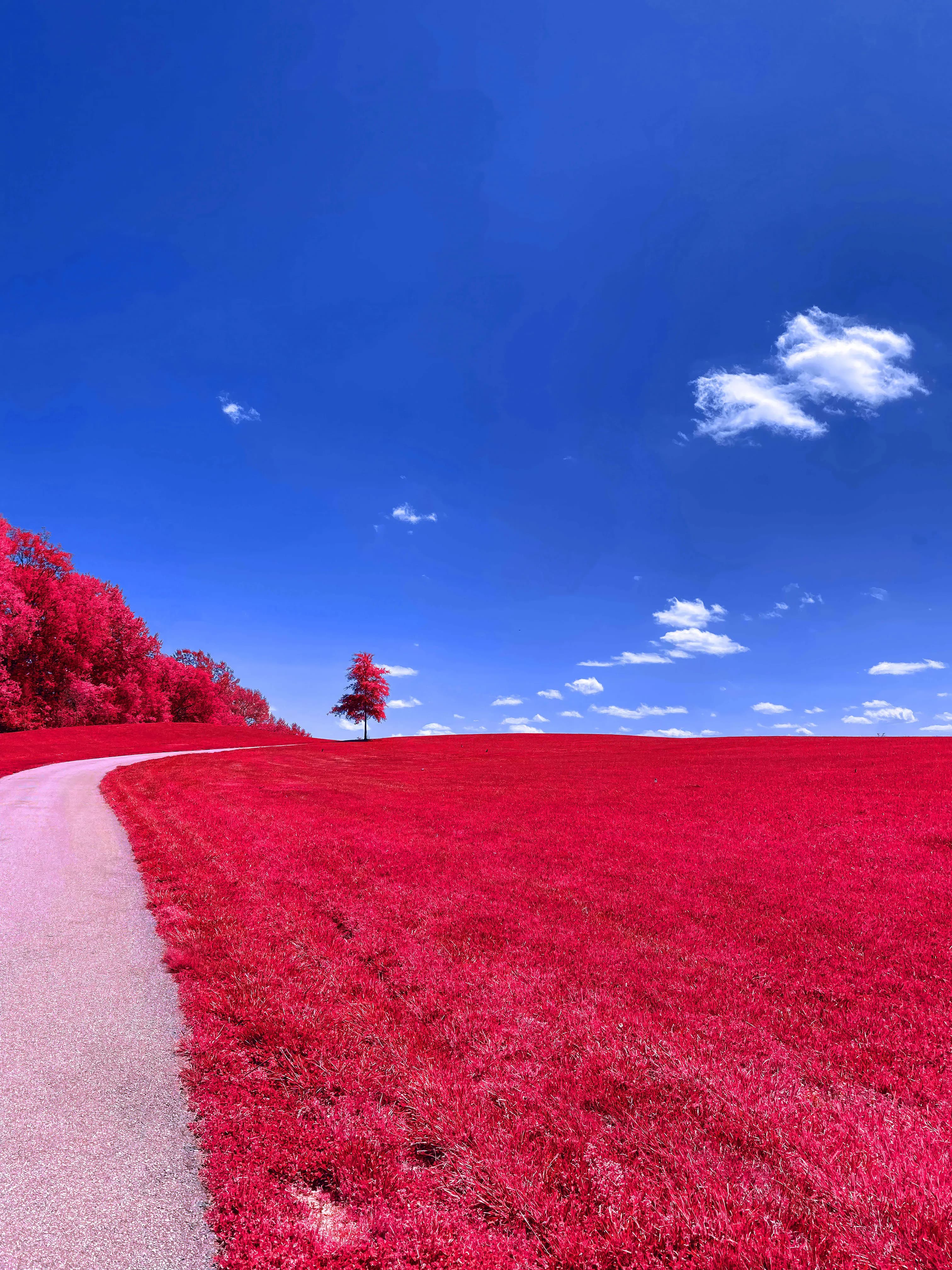 Path meets sky red